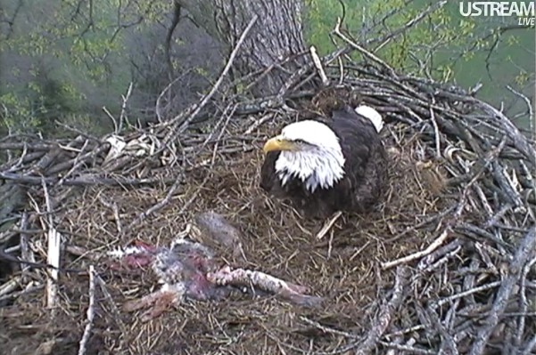 ScreenHunter_46 Mar. 31 20.00.jpg